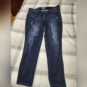 Democracy 18W Ab Solution Distressed Blue Denim Ankle Skinny Jeans Stretch●